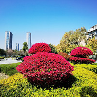 �������ļ���