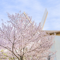 ����̫���幫԰���������㻹��ӣ���������˵���������