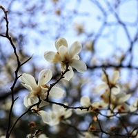 �����Զ�磬��������ɡ�