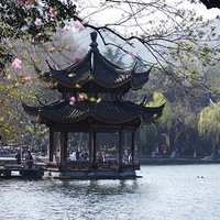 �����߹�