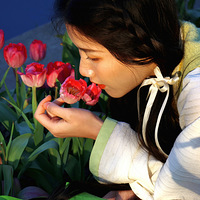 Ʒζ������