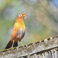 ��ü��д���2��