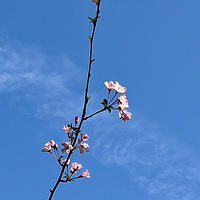 ��ʱ���ĺ�