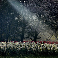 ̫����������㡣