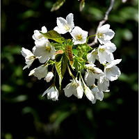 ��������3