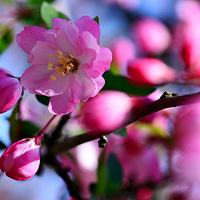 �� �ͻ�����