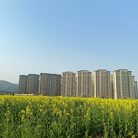 ���ſ��Ͳ˻���