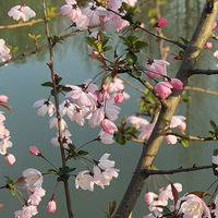 ���Ļ�һһ����Фɽ������