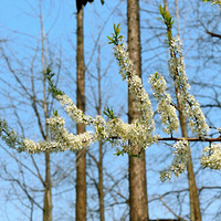 ���Ͼ�Ҫ�꼾�ˣ��Ͻ��ղ�һ���˺ӱߵĻ���