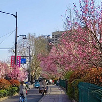 �����ƽ���1��