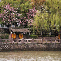 ���˺���