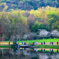 ����̫����