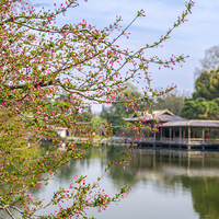 ����������˵���ݻ��۹��㹫԰�Ļ���