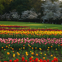 ̫����֮��