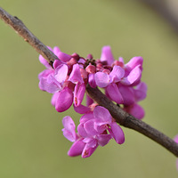 ���G������