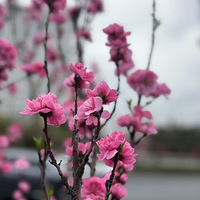 �����һ���