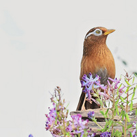 ��ü��д���3��