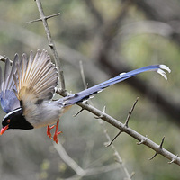 ���ϵĺ�����ȵ