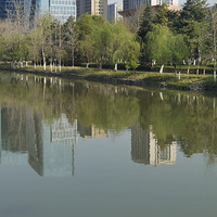 Фɽ�����Ӷ���