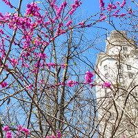 ˮ���ű��ϵ��Ͼ�����������   2023.03.16