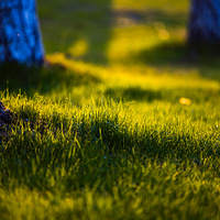 ���������µ����