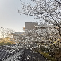 ��ʦ�󸽽�������