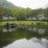 ̫���塢���۹����ͻ�