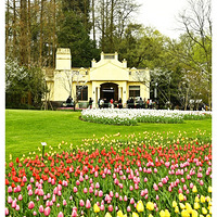 һ��һ�ȵ�̫���廨��չ