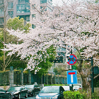 ������������֮ǰ���Ͻ��ļ���ӣ����