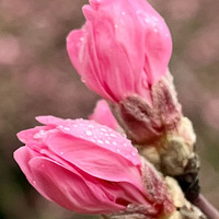 С����.�һ�����