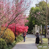 �����ƽ���2��