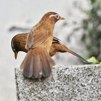 ��ü��Ĵ��죨2��