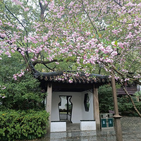 ��԰���м���