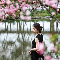 ���Ļ���