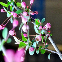 ������˿���Ļ�