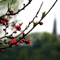 �Һ�����������