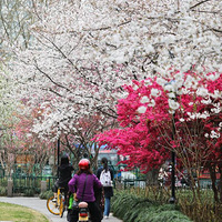 ����Ĺ���