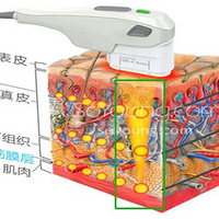 �� �� �������Ч��,�� �� ��������ά�ֶ��~