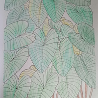 �������ʴ򿨣�