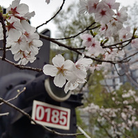 �� �� �г�