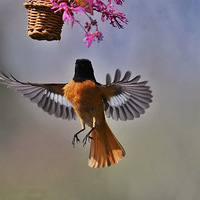 �������ı���β�