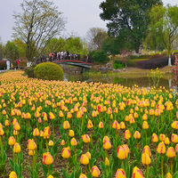 ���յļ��ڵ���