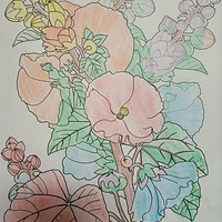 �������ʴ򿨣�