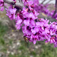 �Ͼ�����