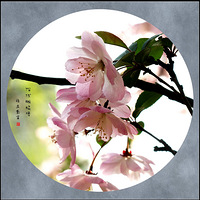 Բ��ͼ�ĺ���