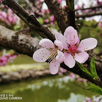 �һ�����Ц����