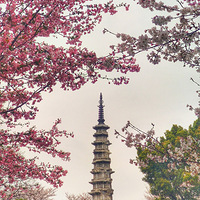 ������԰̤��ȥ