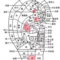 �۸���ɬ��ƣ�ͣ�����С���У�