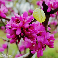 �Ͼ�����