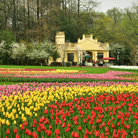 ��̫���幫԰